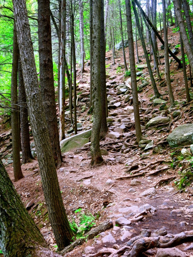 Trail to Kaaterskill Falls