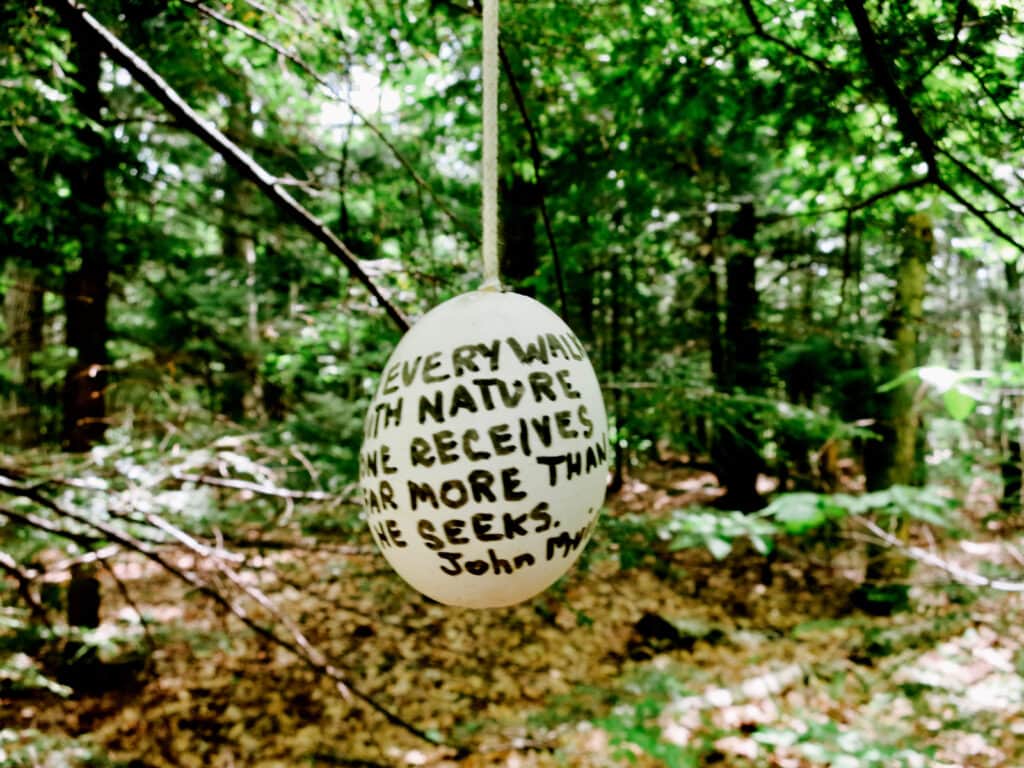 Walking in Northern Catskills NY