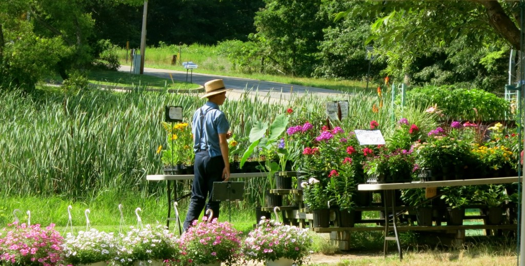 Amish Farmers Market, St. Mary's County MD