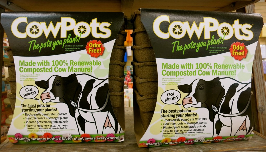 CowPots from CT