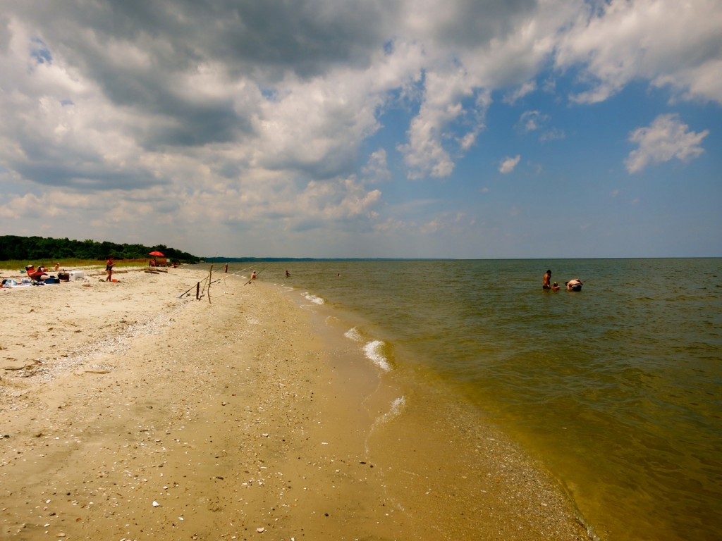 Flag Pond Nature Park Beach MD