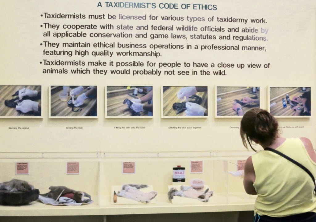 Taxidermist Code of Ethics White Flower Foundation CT