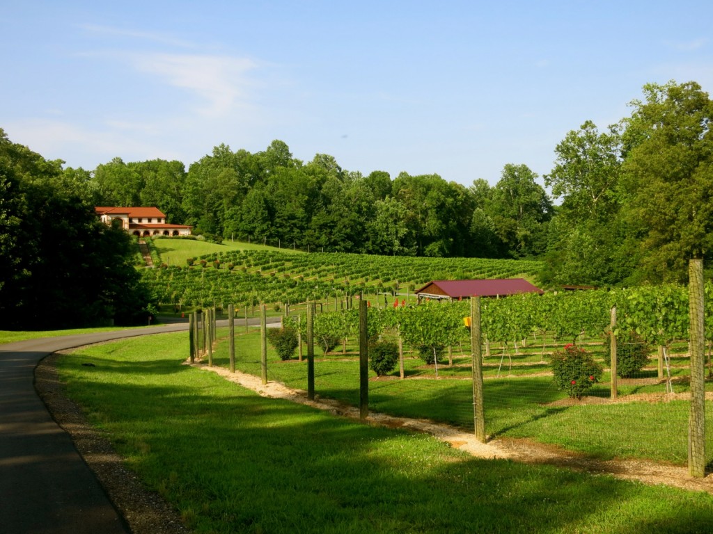 Running Hare Winery, Southern MD