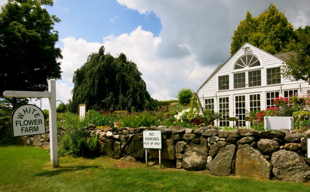 White Flower Farm, Litchfield CT