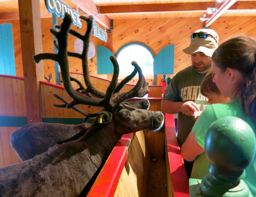 Feeding Reindeer at Santa's Village, Jefferson NH