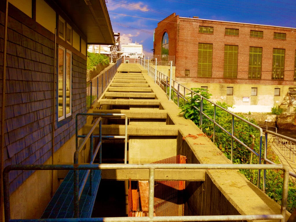 Fish Ladders Manchester NH