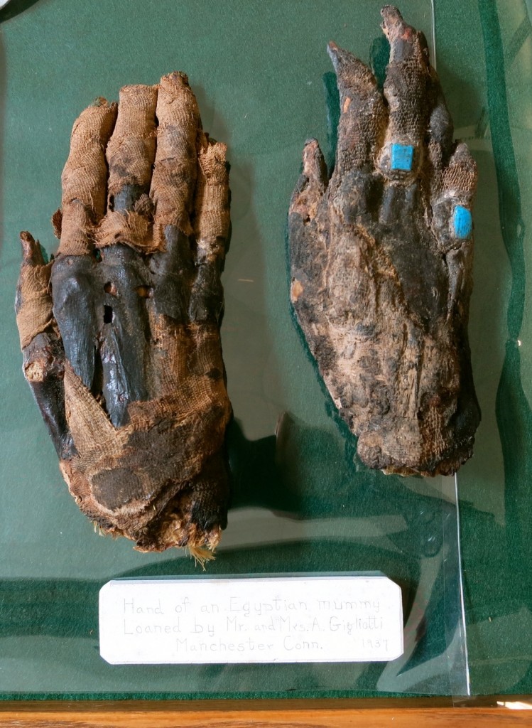 Mummy Hands, Libby Museum, Wolfeboro NH