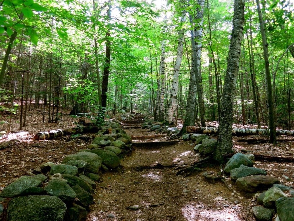 Rattlesnake Trail, Squam Lake NH