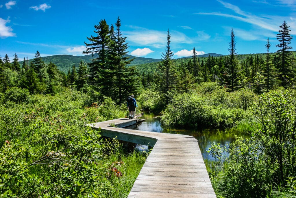 Boardwalk on Twinway Trail in the White Mountains