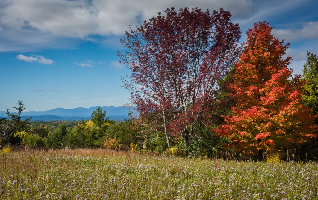 View of Catskill Mountains