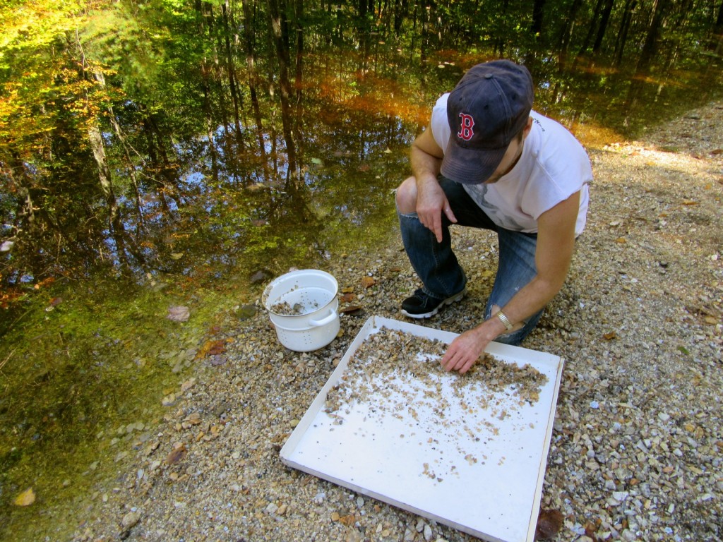 Panning for gemstones, Mt Apatite SP, ME