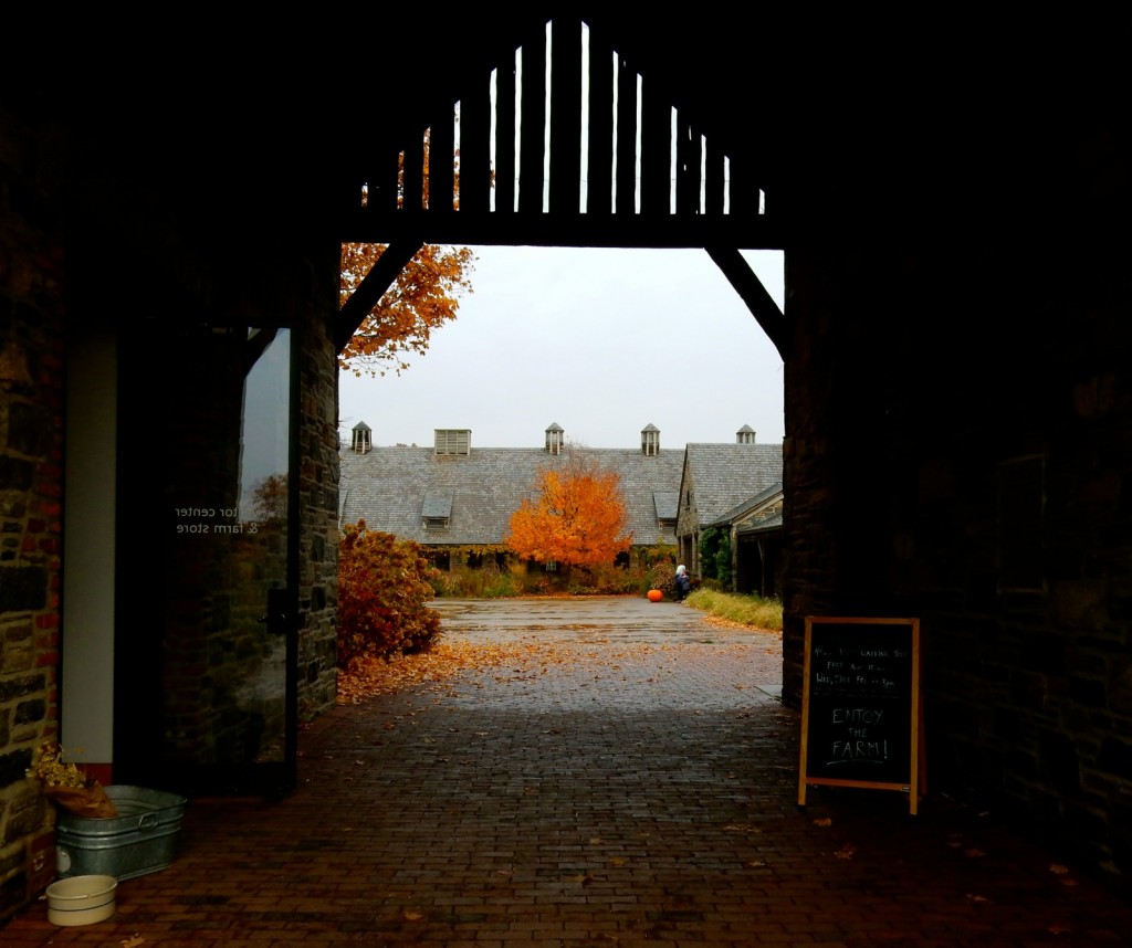 Blue HIll at Stone Barns, NY