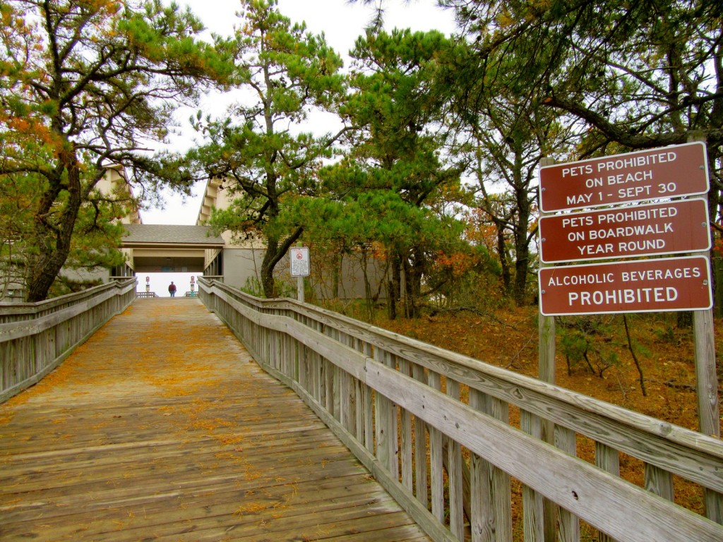 Cape Henlopen SP Swimming Beach DE