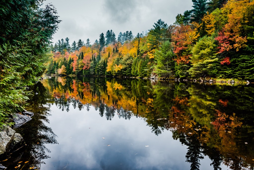 Adirondack Fall Foliage Reflection
