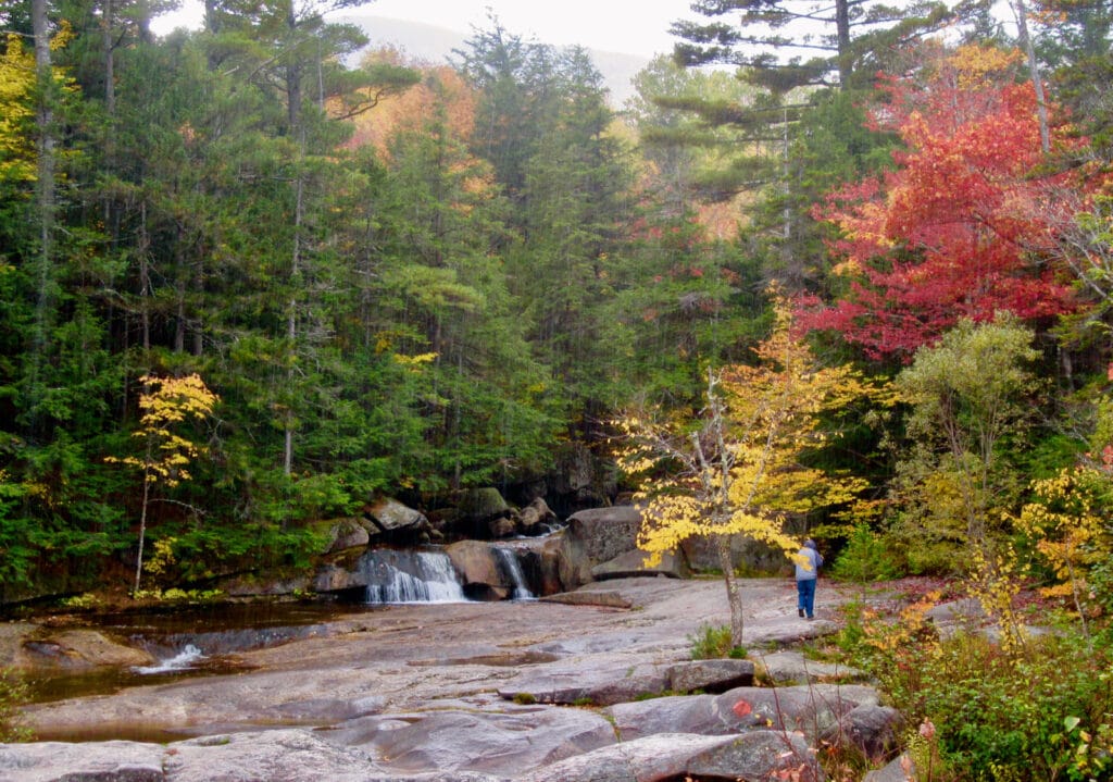 Maine Mineral and Gem Museum