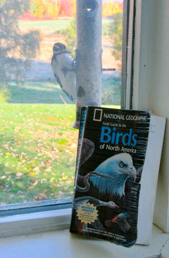 Oxford House Inn Birdwatching