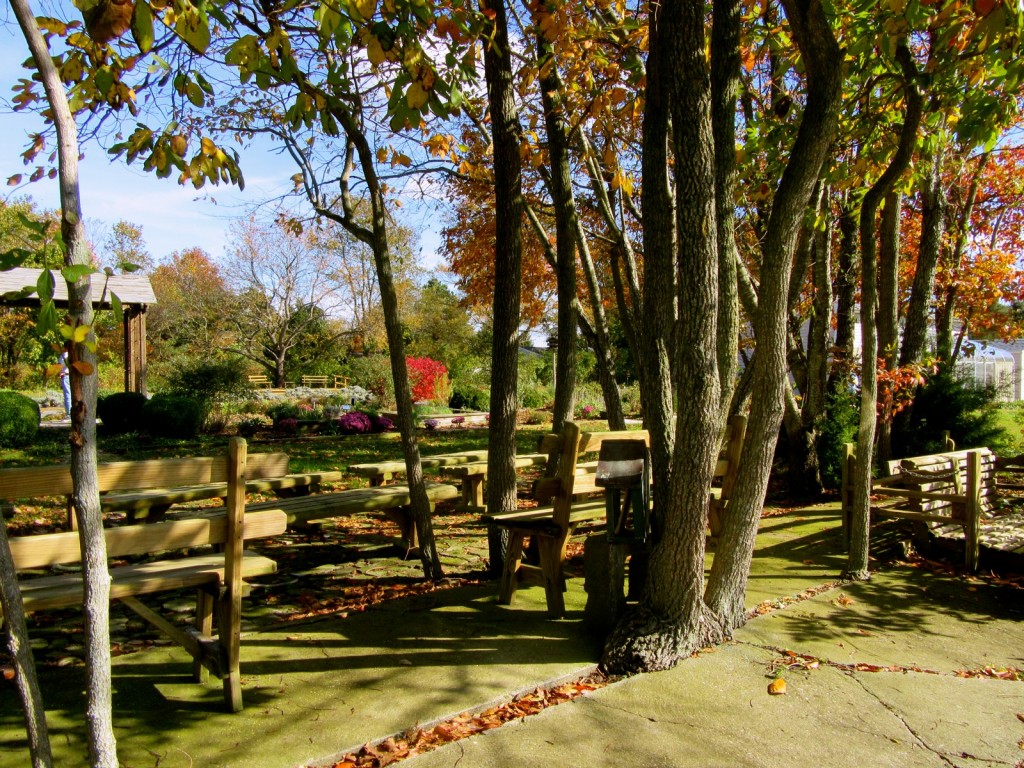 Picnic tables at Lavender Fields at Warrington Manor Milton DE
