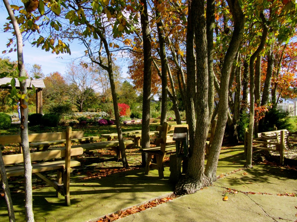 Picnic at Lavender Fields, Milton DE