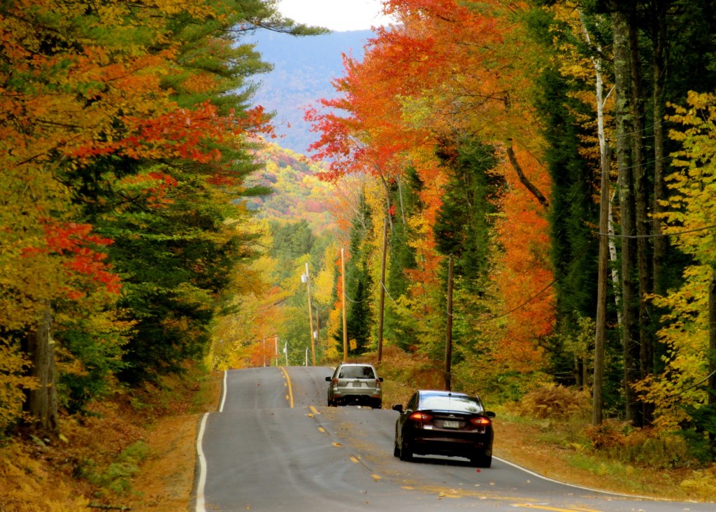 Rt. 113, Maine