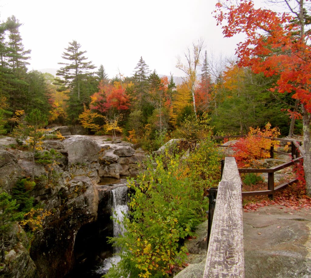 Screw AugurFalls Grafton Notch SP