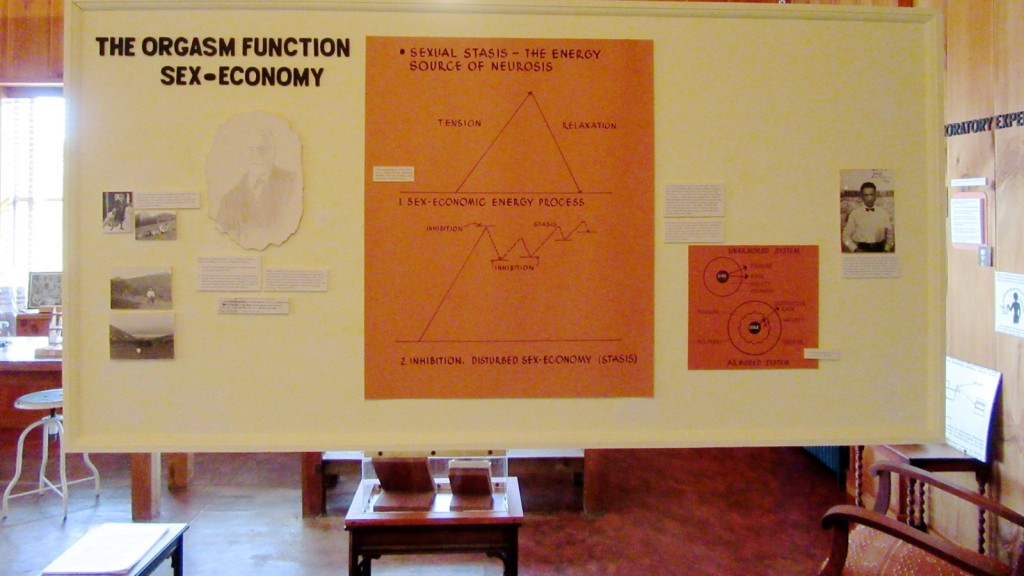 Sex-Pol Poster, Orgone, Rangeley ME