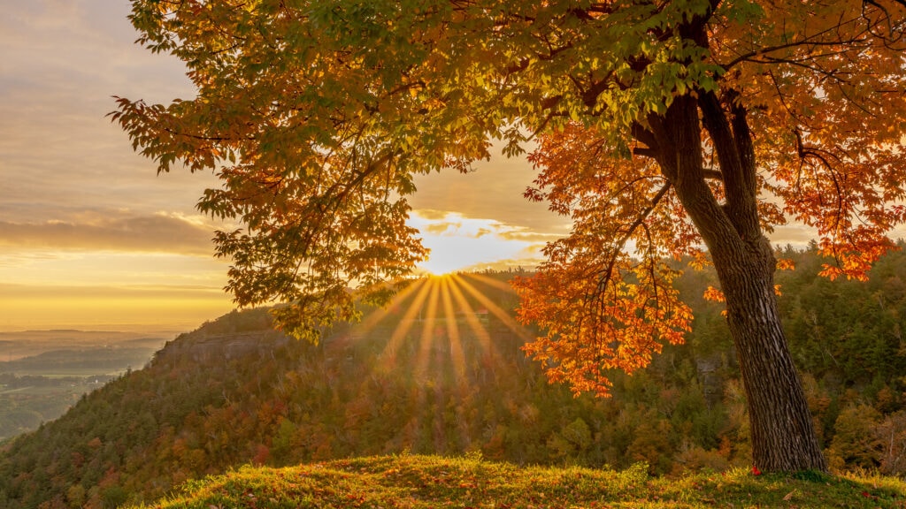 Sunrise at Thacher Park