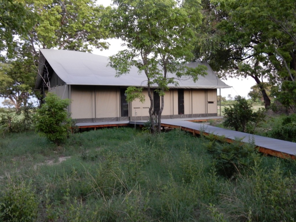 Canvas cabin, Linkwasha Camp, Zimbabwe