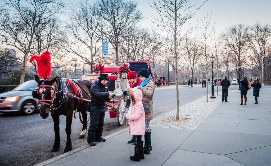 Pferd und Buggy Central Park NY