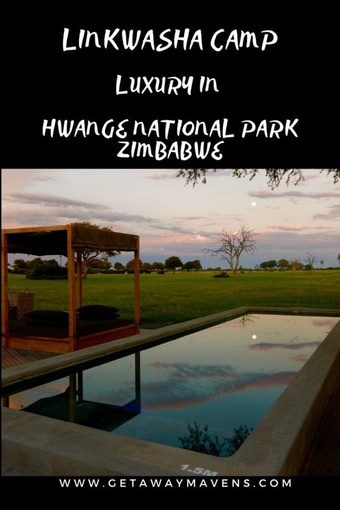 Linkwasha Camp Zimbabwe Pin