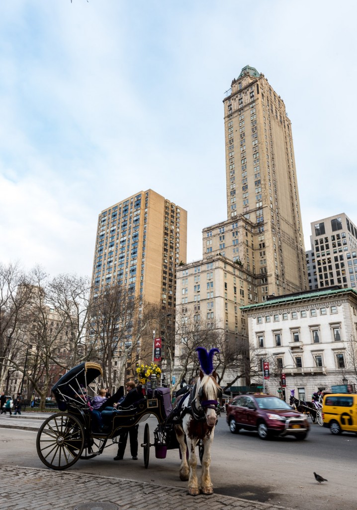 Taj Pierre Hotel Exterior facing Central Park