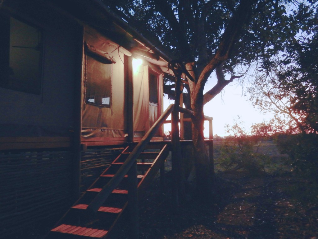 Private Tented Bungalo, Seba Camp