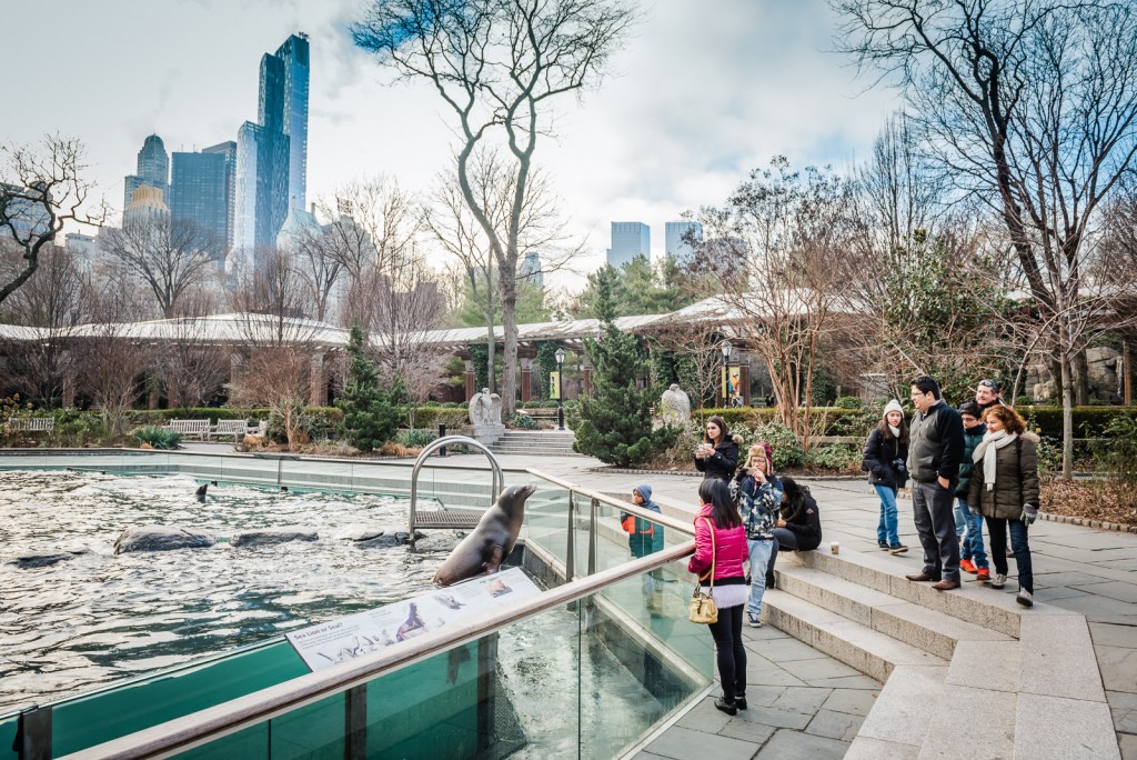 Sea Lion Habitat - Central Park Zoo