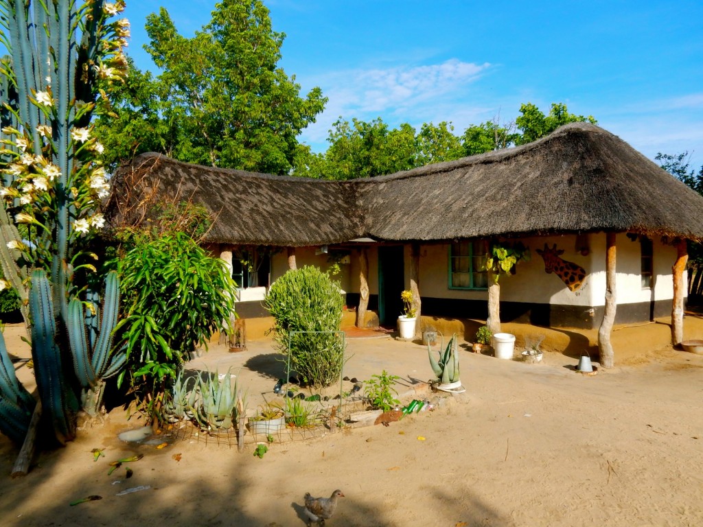 Village Headman homestead, near Hwange Park, Zimbabwe