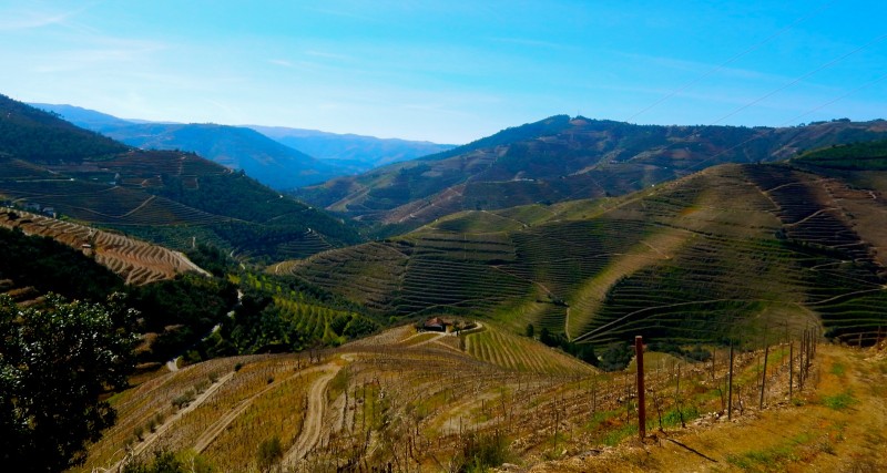 Douro Valley, Portugal