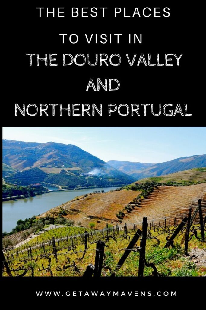 Douro Valley Portugal Pin