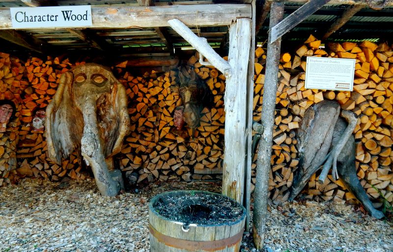 Character Wood at Morse Farm, Montpelier VT