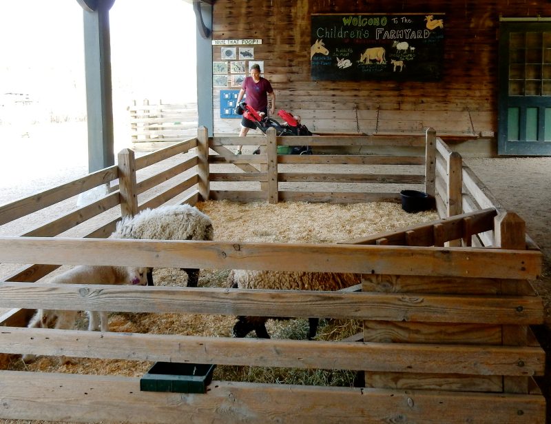 Children's Farmyard, Farm Barn, Shelburne Farms, VT