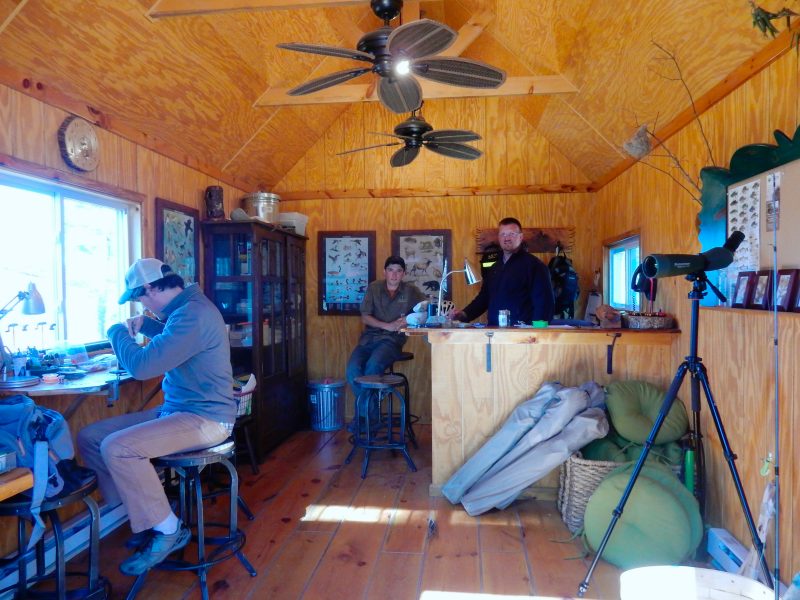 Inside Lily Pad, Lodge at Woodloch PA