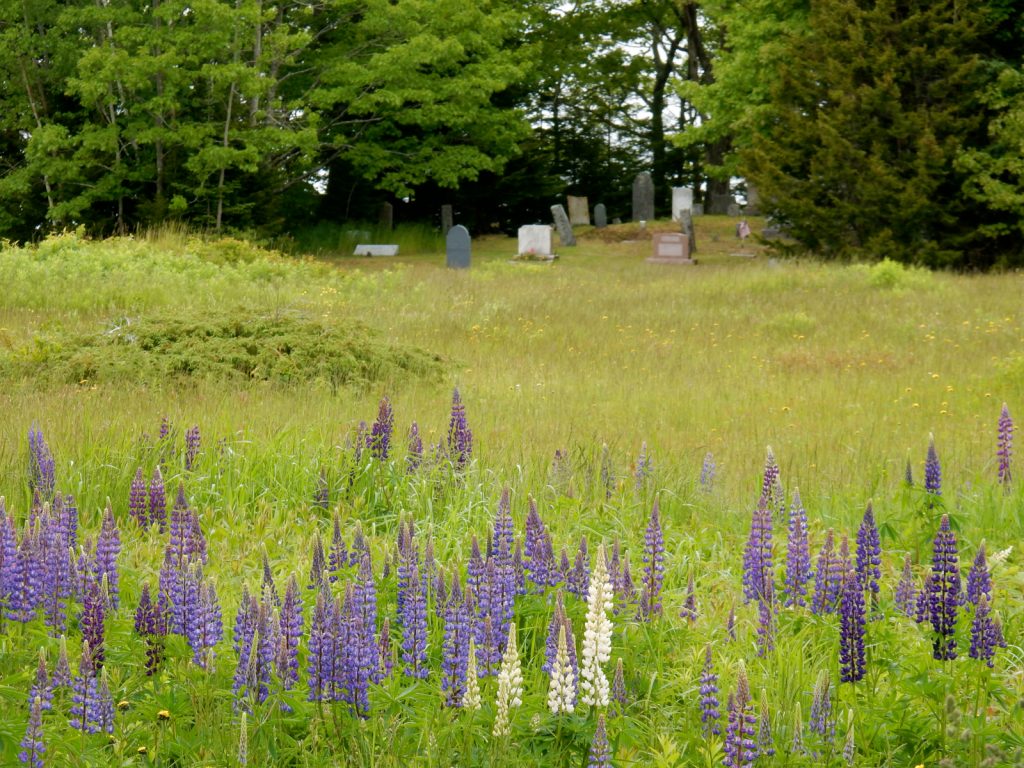Andrew Wyeth Grave, Maine
