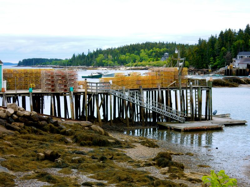 Lobster traps on docks, Stonington ME