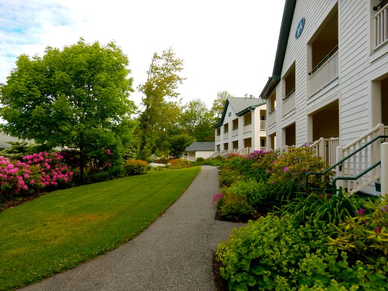 Spruce Point Inn grounds in June