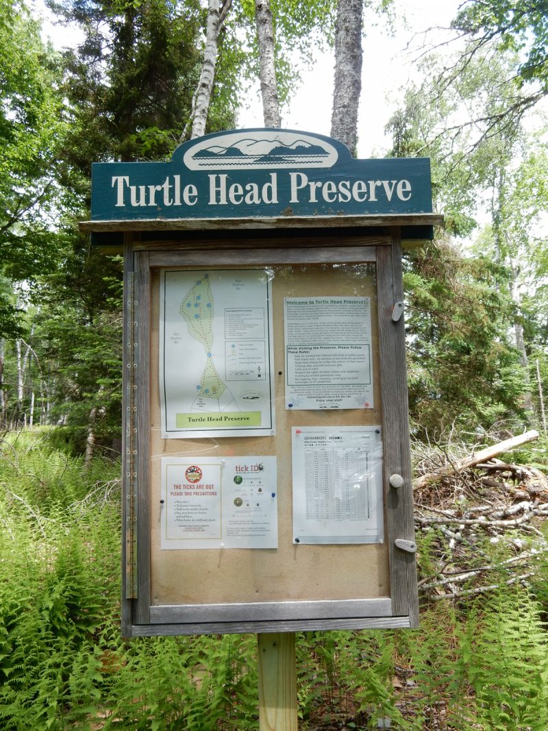 Turtle Head Preserve, Islesboro ME