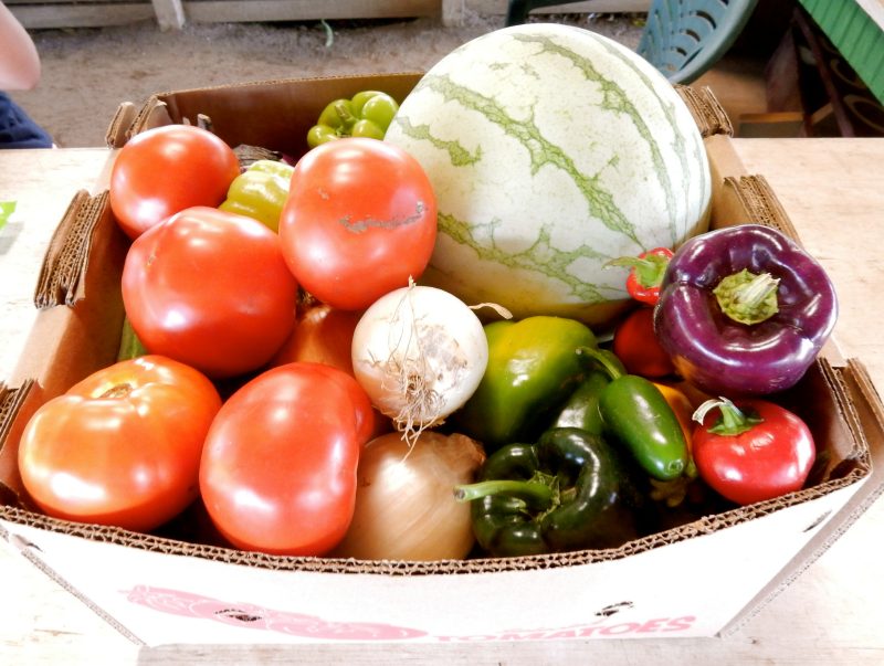 Sep's Farm Stand, East Marion NY