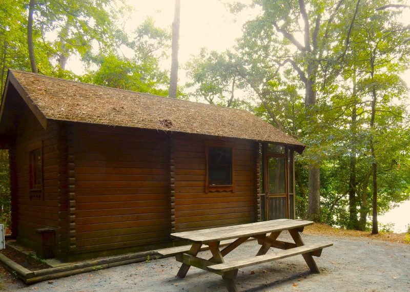 cabin-at-trap-pond-state-park-laurel-de