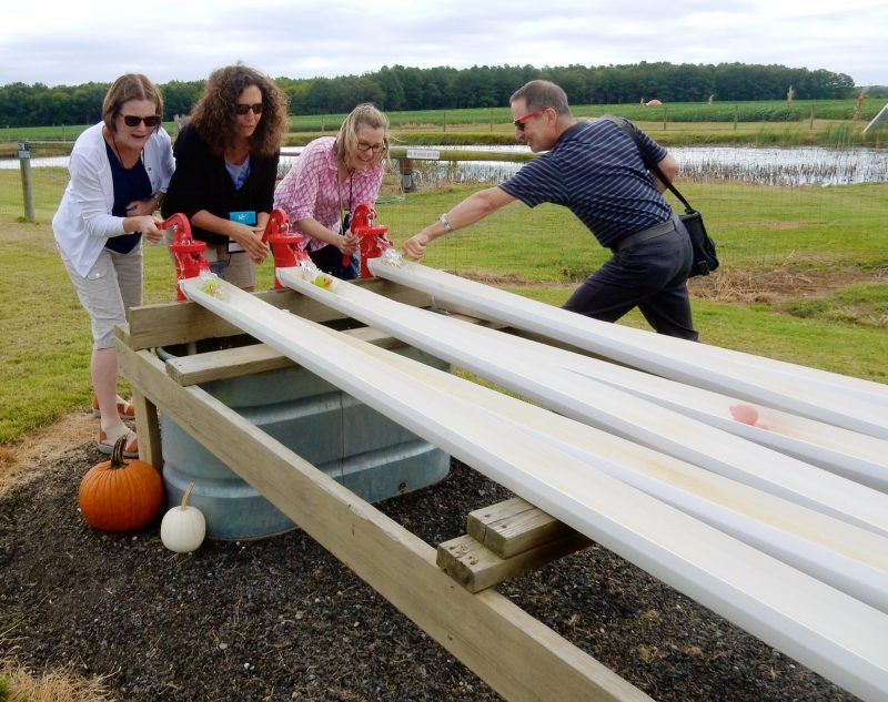 duck-racing-councell-farms-md