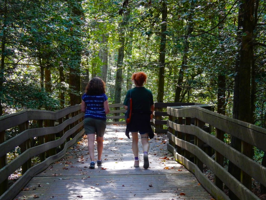 Hiking the Bob Trail at Trap Pond State Park Laurel DE