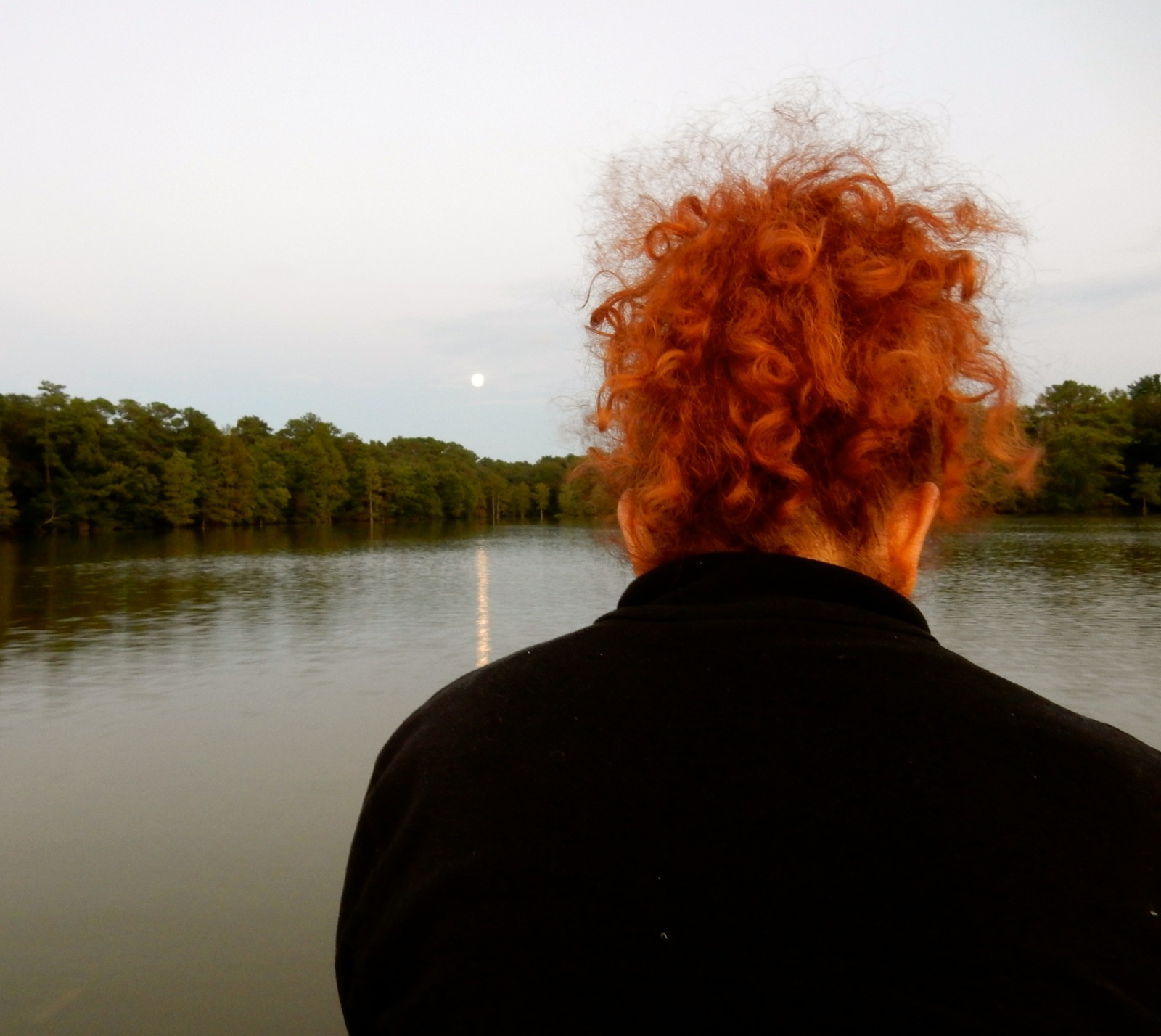 Trap Pond State Park Moonlight Boat Tour DE