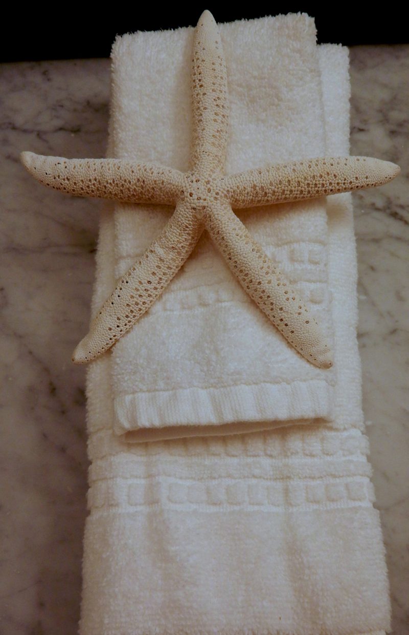 sea-star-ocean-house-bathroom-watch-hill-ri