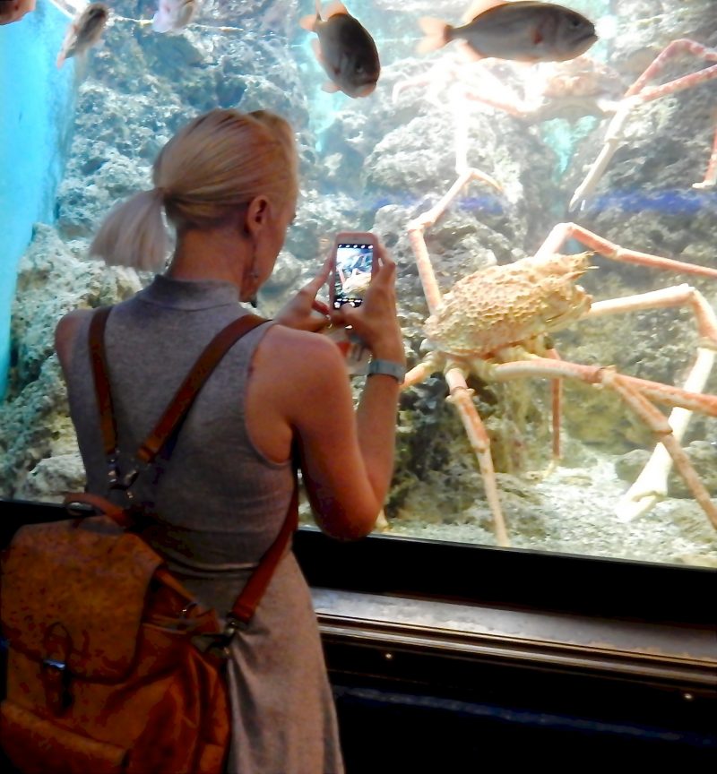 shed-aquarium-chicago