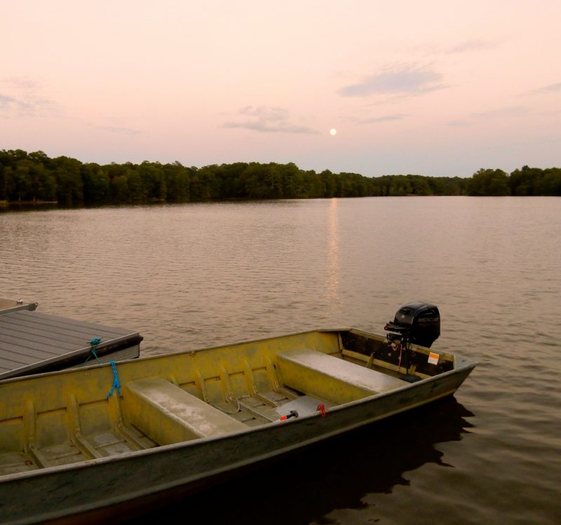 trap-pond-with-boat-laurel-de